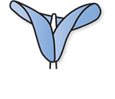 Studio Medico Colombo